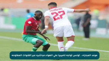 موعد المباراة.. تونس تواجه ناميبيا على الهواء مباشرة عبر القنوات المفتوحة